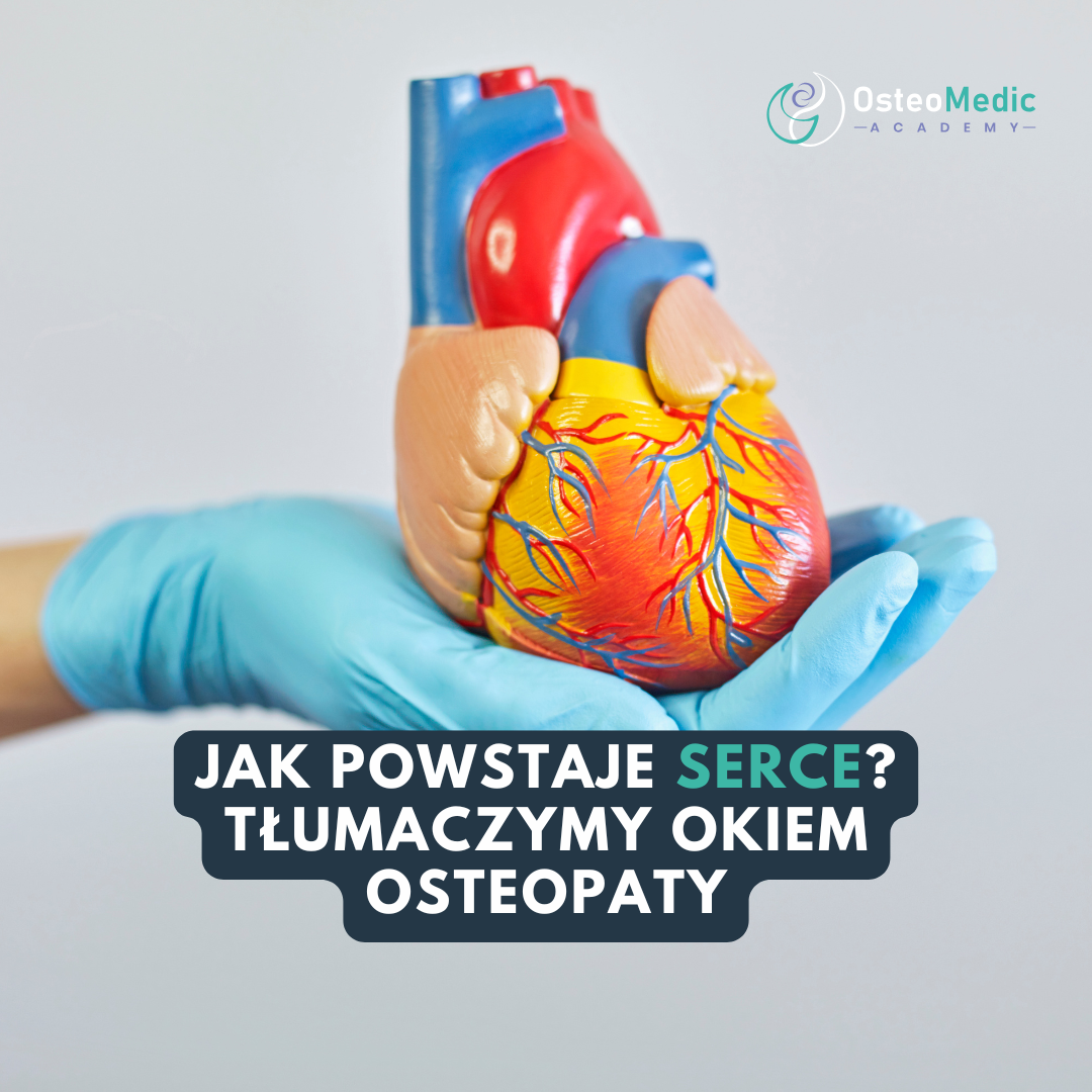 Zdjęcie wpisu na blogu